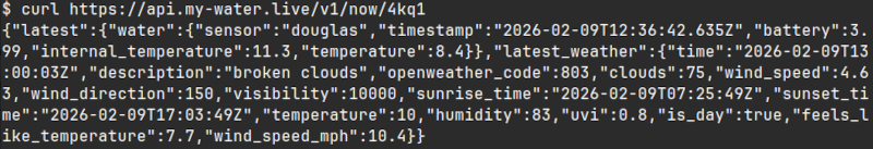 api cURL example